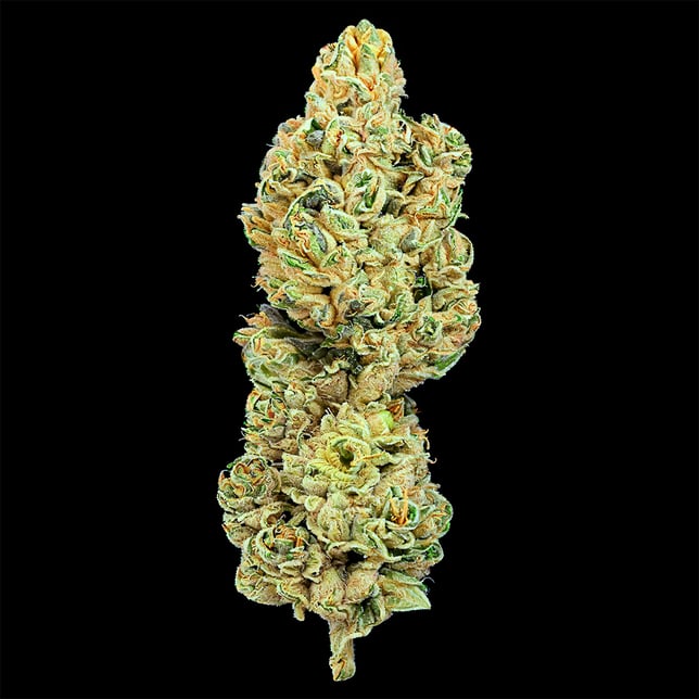 Murder Mittens - Image 2