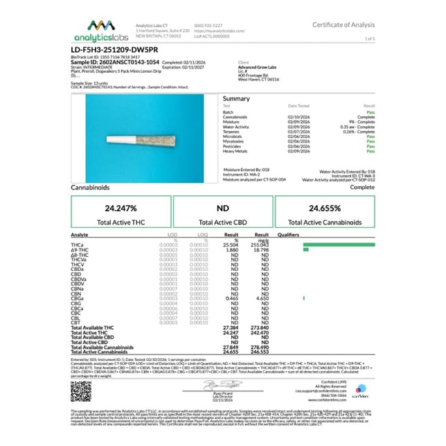 Dogwalkers - Lemon Drip (S) 0.35g Pre-Rolls 5pk (1.75g) C0010001299 - Image 4