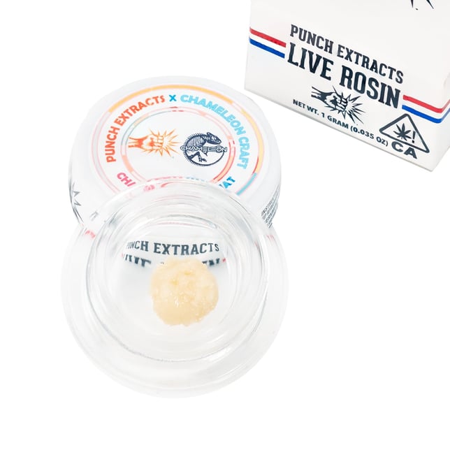 Chameleon Kumquat - Image 1 Chameleon Kumquat - Image 1