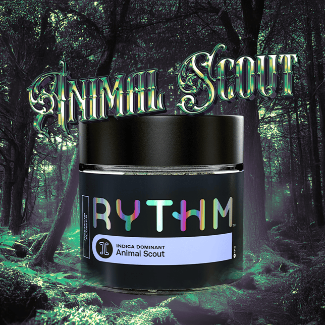 Animal Scout - Image 4