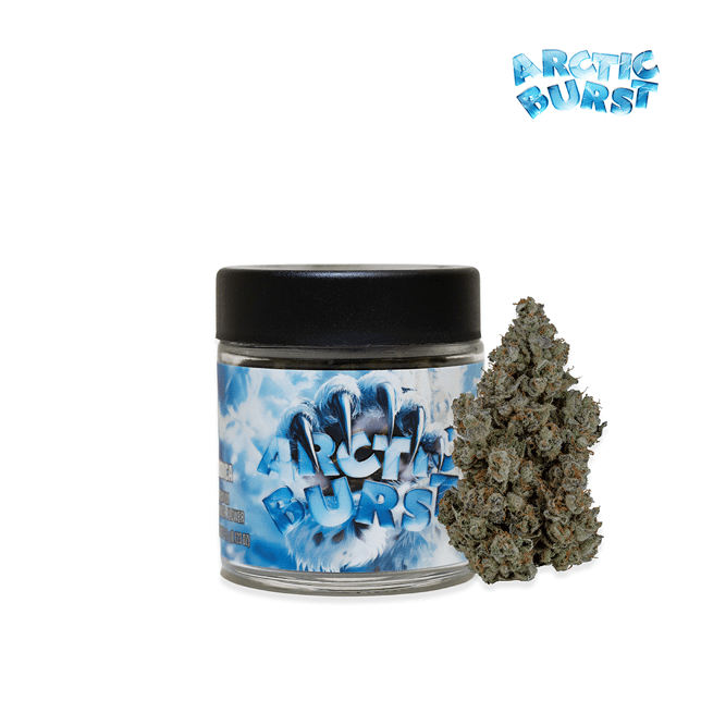 Arctic Burst - Image 1