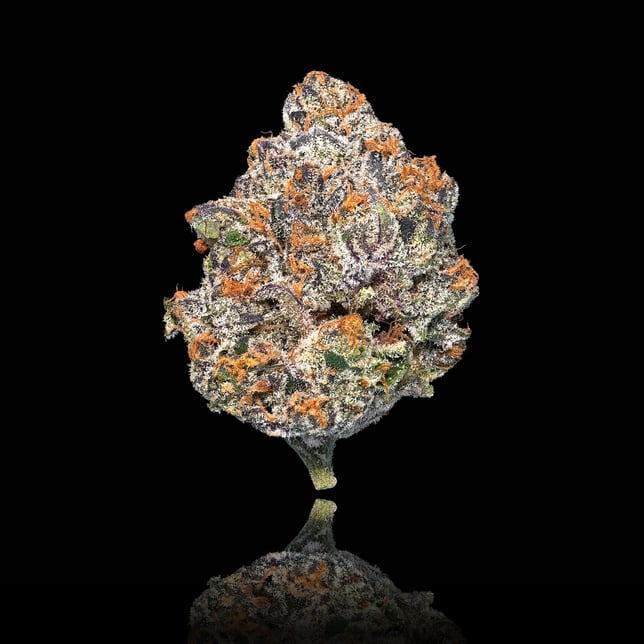 Blue Lotus Pre-Roll 5-Pack [2.5g] - Image 2