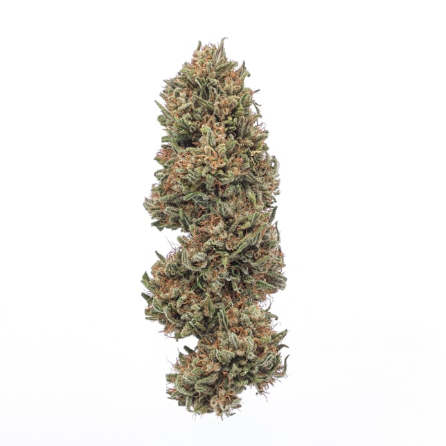 Bubble Gum - Image 1