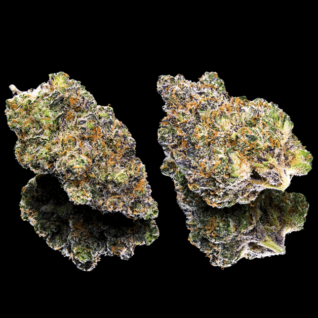 Key Lime Jack Pre-Roll 5-Pack [2.5g] - Image 3