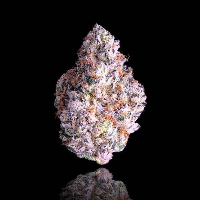 Shangri-La Maven Minis [14g] - Image 2