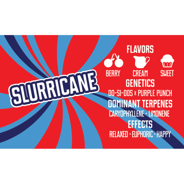 Slurricane - Image 2