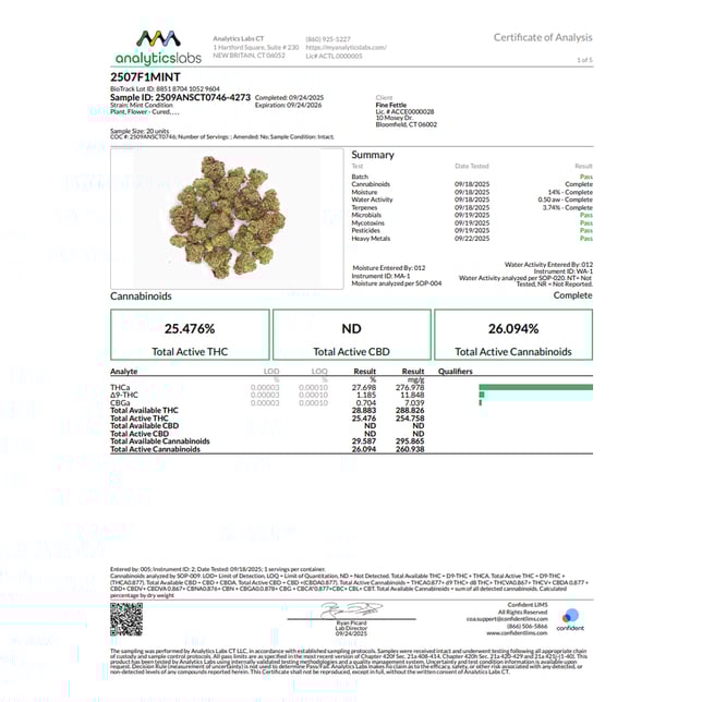 Comffy - Mint Condition (S) Flower  C0140000055 - Image 3