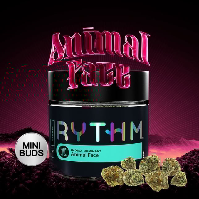 Animal Face - Image 2