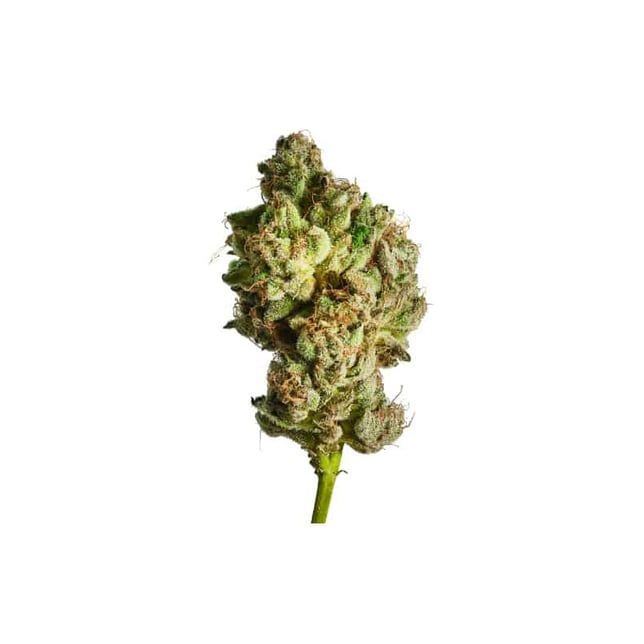 Blue Dream - Image 2 Blue Dream - Image 2