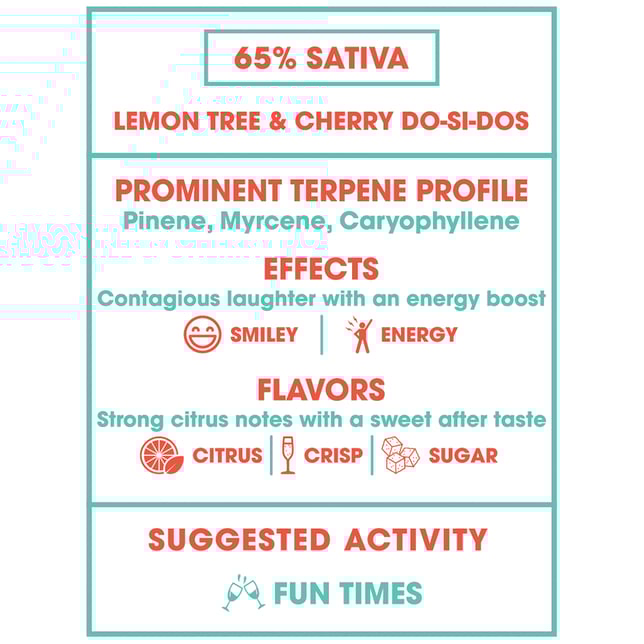 Raspberry Bellini - Image 3