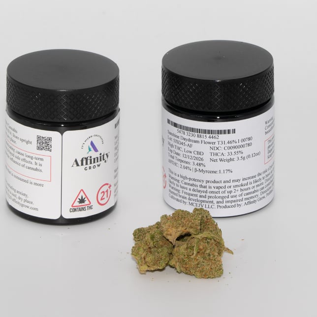 Affinity Grow - Sunshine Daydream (I) Flower  C0090000780 - Image 2