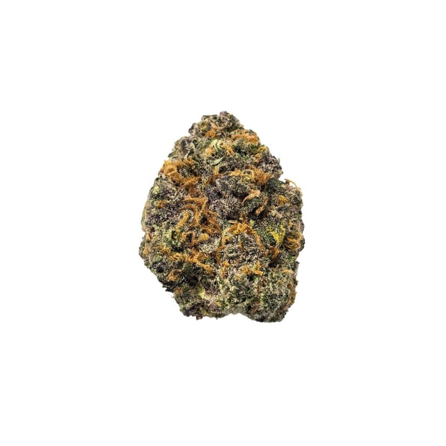 Curaleaf - Mr E Pupil (S) Flower  C0030000943 *NP - Image 2