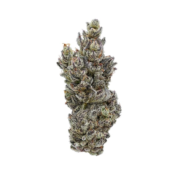 Shady Scotty [.5g] - Image 2