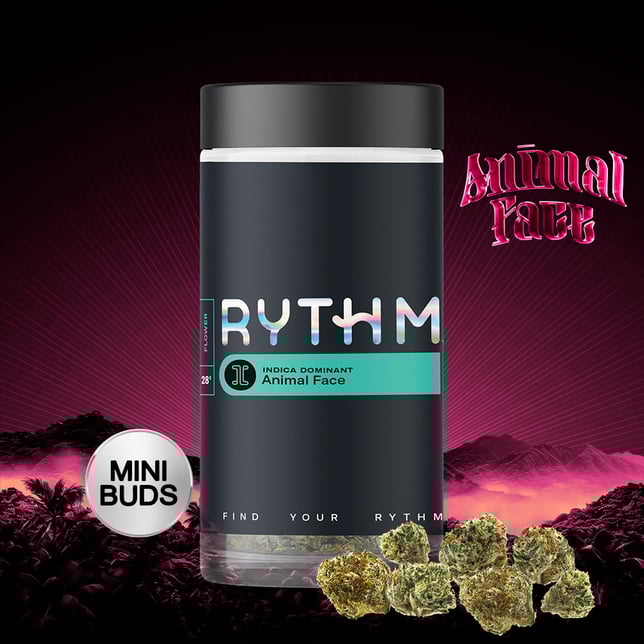 Animal Face - Image 3