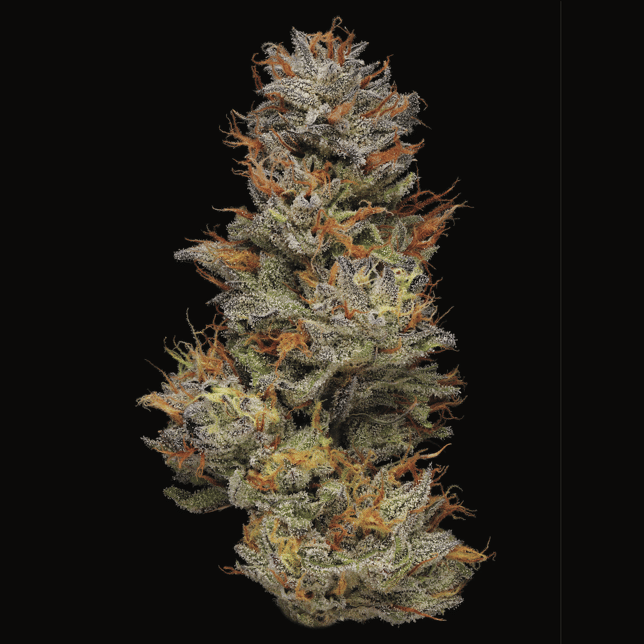 Purple Ripple [1000mg] - Image 3