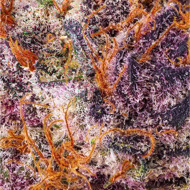 Lemon Cherry Tropicana [3.5g] - Image 5