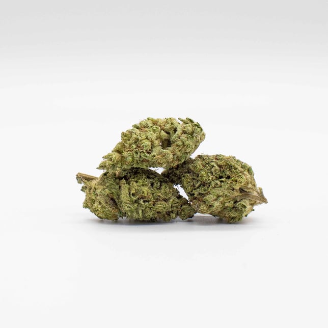 Ridgeline Rebel - Image 2 Ridgeline Rebel - Image 2