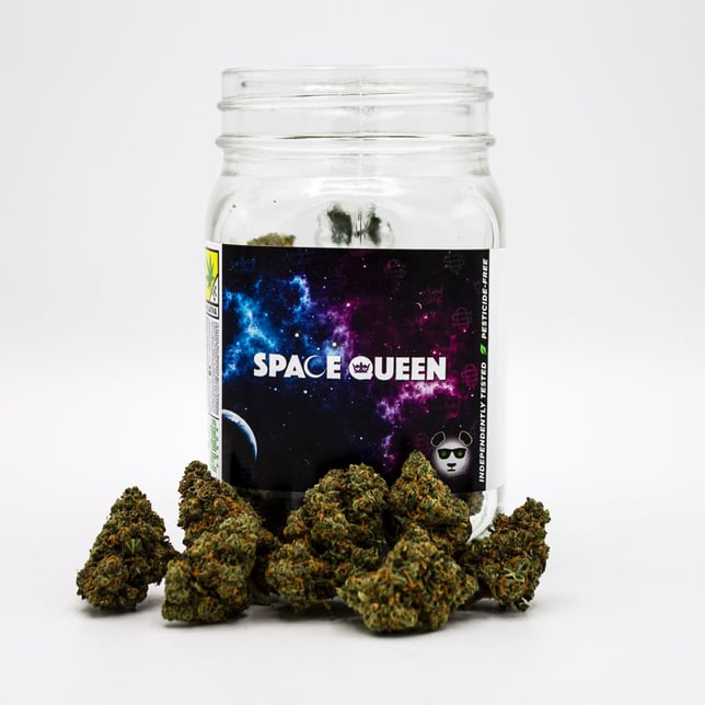 Space Queen - Image 1