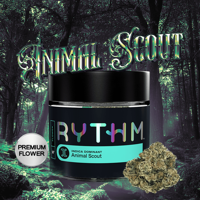 Animal Scout - Image 5