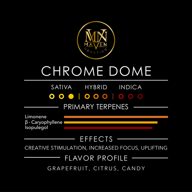 Chrome Dome Pre-Roll (1g) - Image 11
