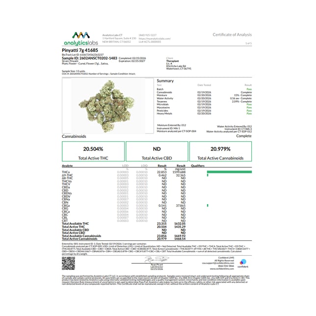 Theraplant - Pinyatti (S) Flower  C0040001685 - Image 3