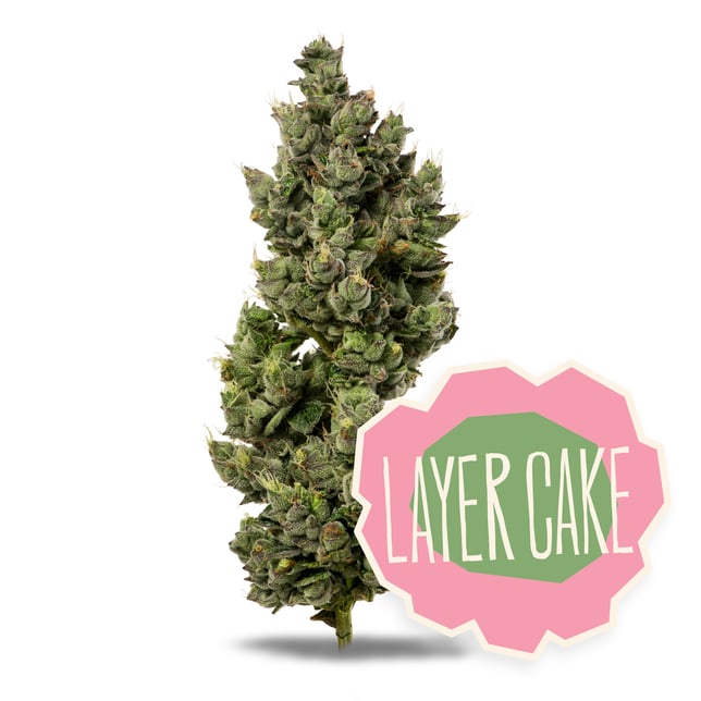 Layer Cake - Image 2