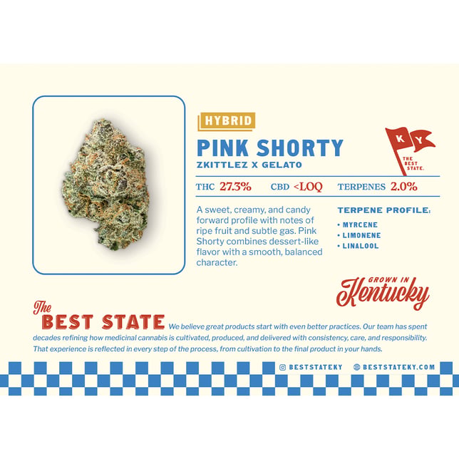 Pink Shorty - Image 4