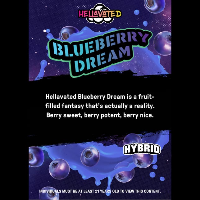 Blueberry Dream [10pk] (100mg) - Image 2