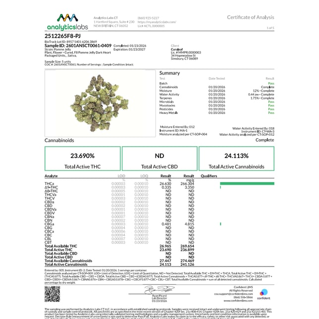 Grassroots - Pomme Jelly (S) Flower  C0030001432 - Image 5