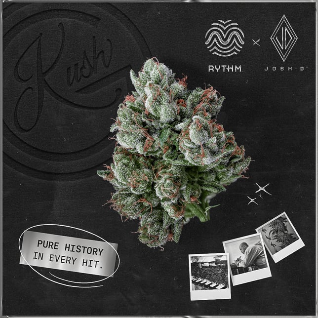 OG Kush by Josh D - Image 2 OG Kush by Josh D - Image 2