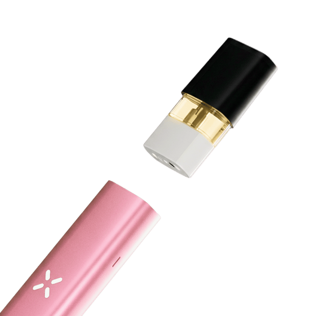 Era Go - Pink Crush - Image 4