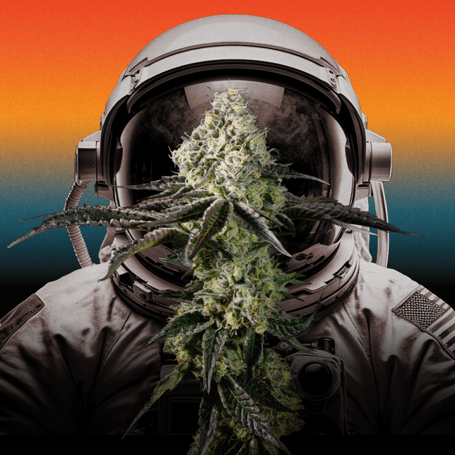 Afternoon Delight #4 - Image 3