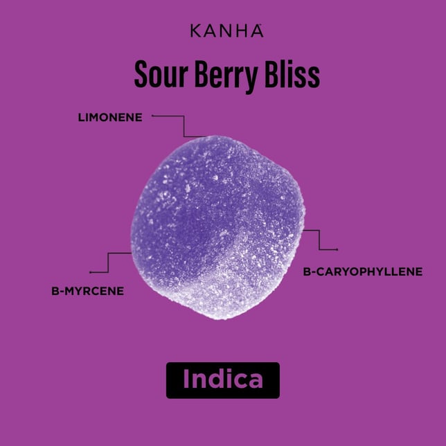 Sour Berry Bliss [10pk] (100mg) - Image 4