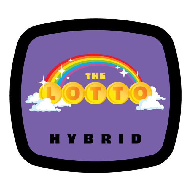 The Lotto - Image 3