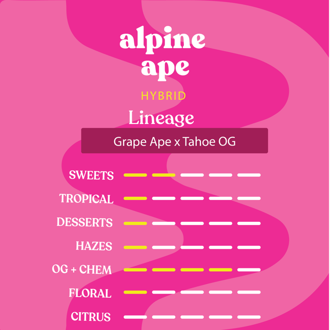 Alpine Ape - Image 2
