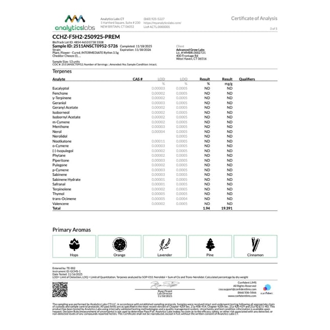 Rythm - Cheddar Cheeze (I) Flower C0010001093 - Image 6 Rythm - Cheddar Cheeze (I) Flower C0010001093 - Image 6