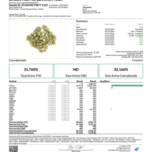 all:hours - Mule Fuel (H) part:timers Flower C0040001329 - Image 3 all:hours - Mule Fuel (H) part:timers Flower C0040001329 - Image 3