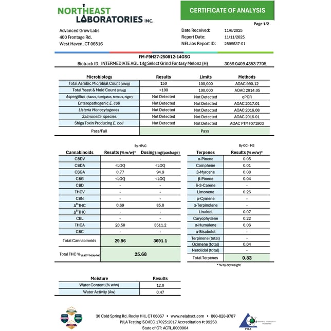 AGL - Fantasy Melonz (H) Select Grind C0010001058 - Image 4 AGL - Fantasy Melonz (H) Select Grind C0010001058 - Image 4