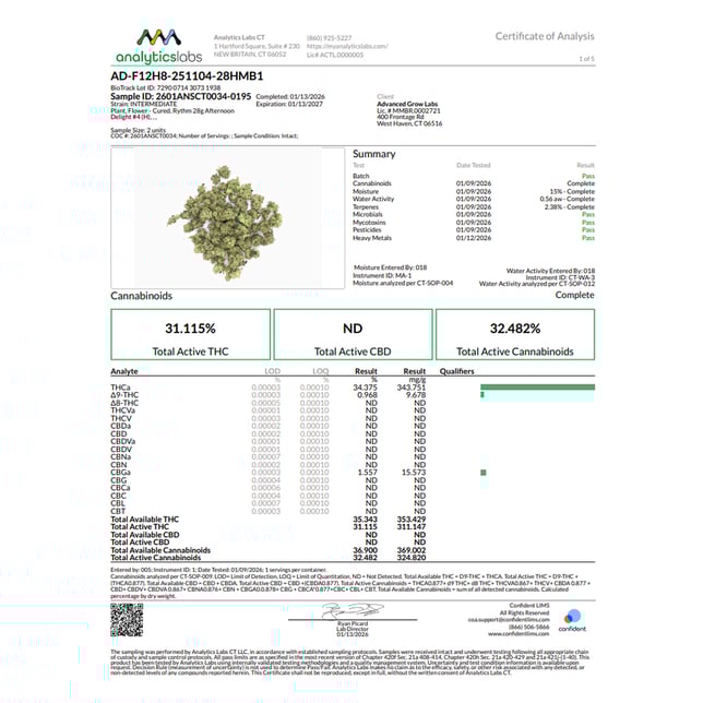 Rythm - Afternoon Delight #4 (H) Flower  C0010001227 - Image 4