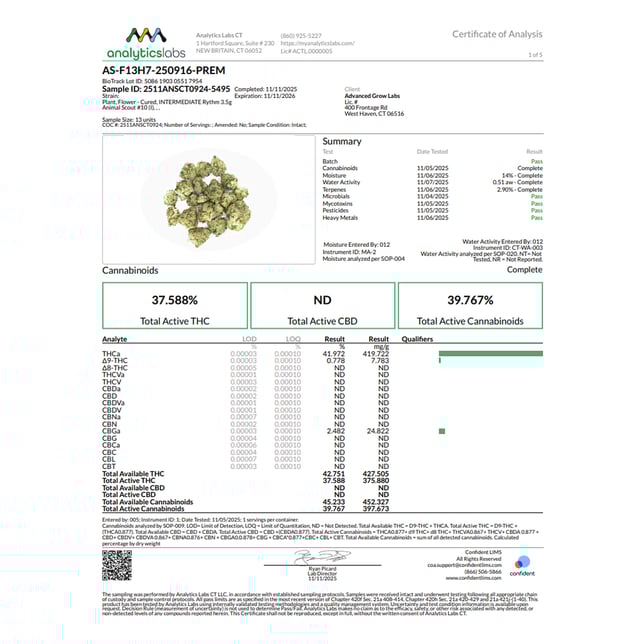 Rythm - Animal Scout #10 (I) Flower  C0010001062 - Image 4