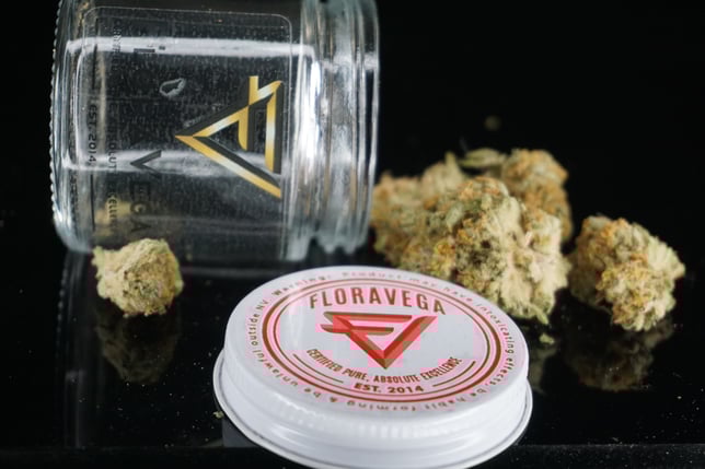 Typhoon #8 - Image 1 Typhoon #8 - Image 1