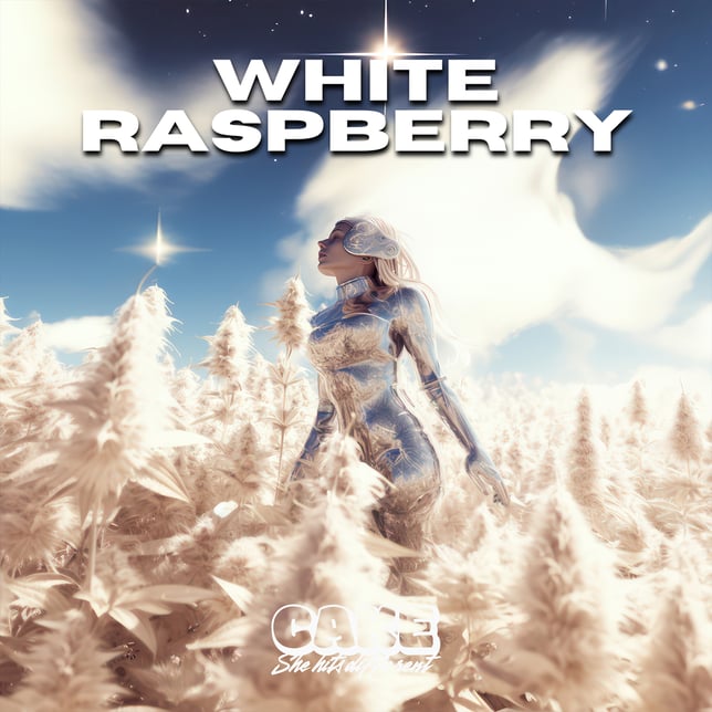 White Raspberry [1250mg] - Image 4