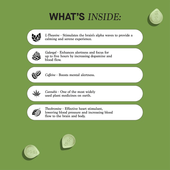 Go Drops [20pk Tin] (100mg THC/100mg CBD) - Image 3