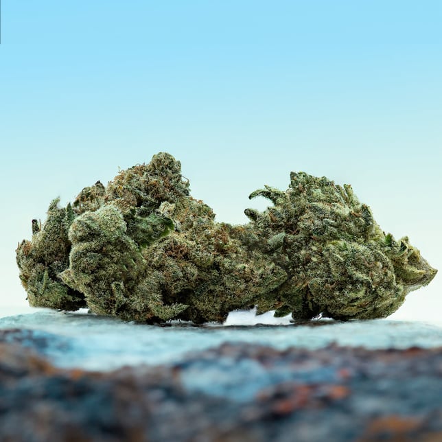 Banana Acai Mints [10g] - Image 3