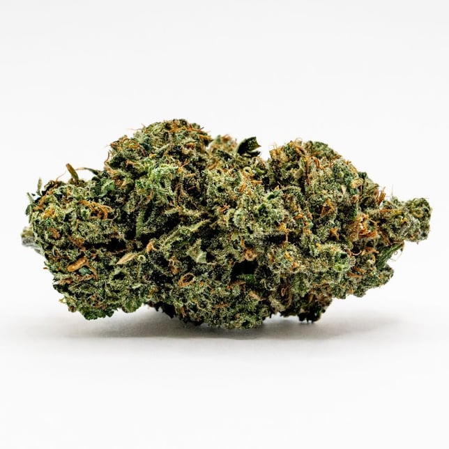 Chem Dawg - Image 1 Chem Dawg - Image 1