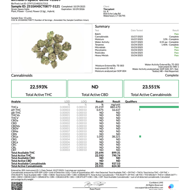 all:hours - Space Gello (H) Flower  C0040001369 - Image 3