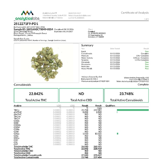 Grassroots - Pineapple Sunrise (S) Flower  C0030001422 - Image 6