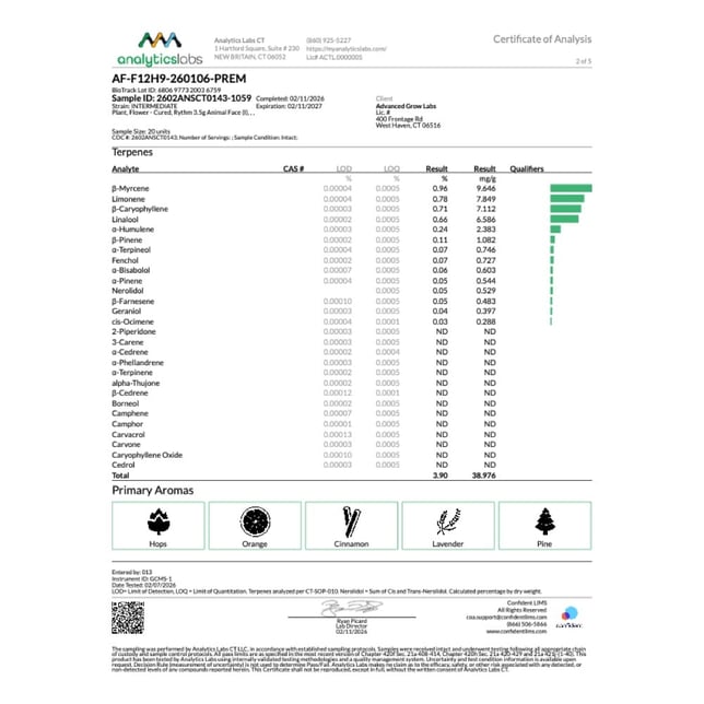Rythm - Animal Face (I) Flower  C0010001304 - Image 5