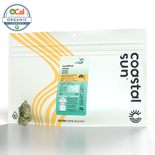 Modified Mints - Image 2 Modified Mints - Image 2