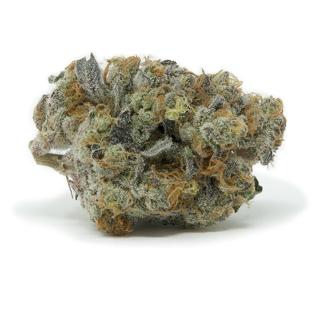 Laughing Gas - Image 2 Laughing Gas - Image 2